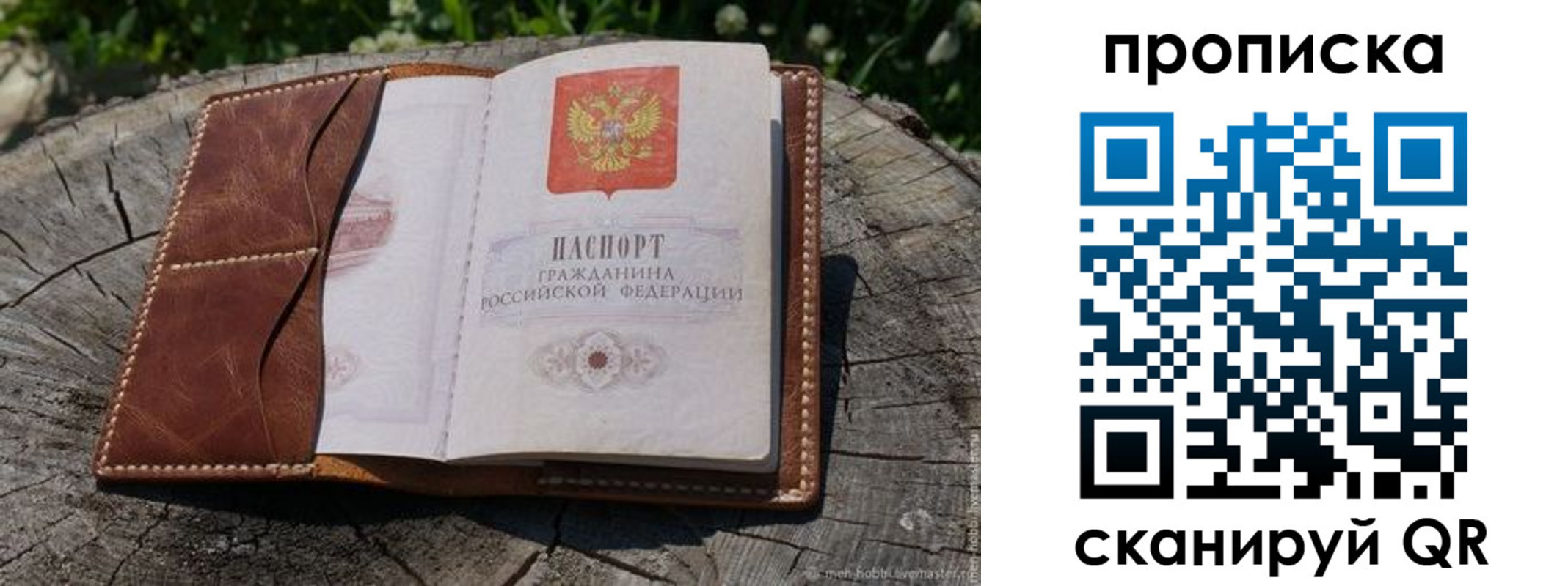 пропишу в квартире в Воронежской области